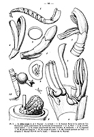  no thumbnail available