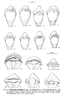  no thumbnail available