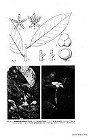  no thumbnail available