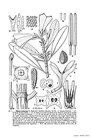  no thumbnail available