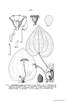  no thumbnail available