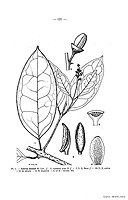  no thumbnail available