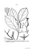  no thumbnail available