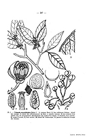  no thumbnail available