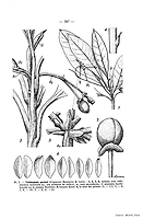  no thumbnail available