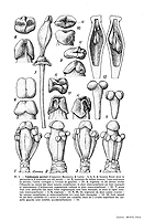  no thumbnail available