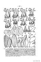  no thumbnail available