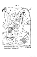  no thumbnail available