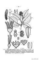  no thumbnail available