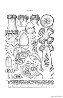  no thumbnail available