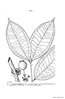  no thumbnail available