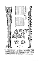  no thumbnail available