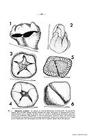  no thumbnail available