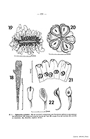  no thumbnail available