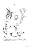  no thumbnail available