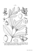  no thumbnail available