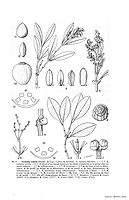  no thumbnail available