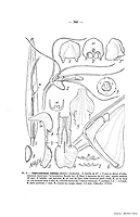  no thumbnail available