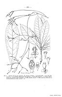  no thumbnail available