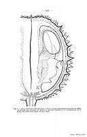  no thumbnail available