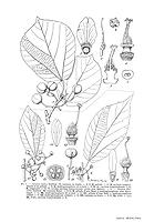  no thumbnail available