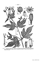  no thumbnail available