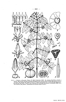  no thumbnail available