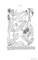  no thumbnail available