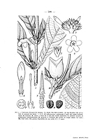  no thumbnail available