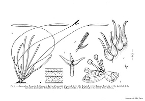  no thumbnail available