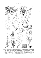  no thumbnail available