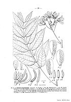  no thumbnail available