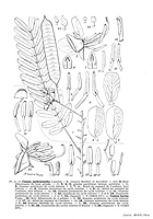  no thumbnail available