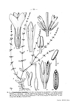  no thumbnail available