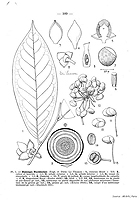  no thumbnail available