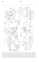  no thumbnail available