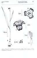  no thumbnail available