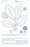  no thumbnail available