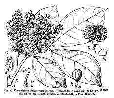 no HD illustration available (5) 