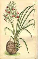  no thumbnail available