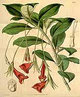  no thumbnail available