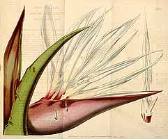  no thumbnail available