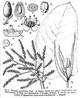 no HD illustration available (5) 