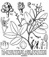 no HD illustration available (5) 