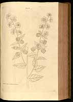  no thumbnail available