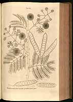  no thumbnail available