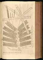  no thumbnail available