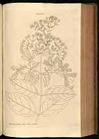  no thumbnail available