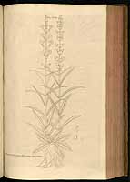  no thumbnail available