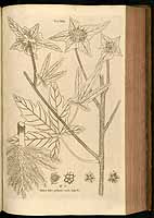  no thumbnail available